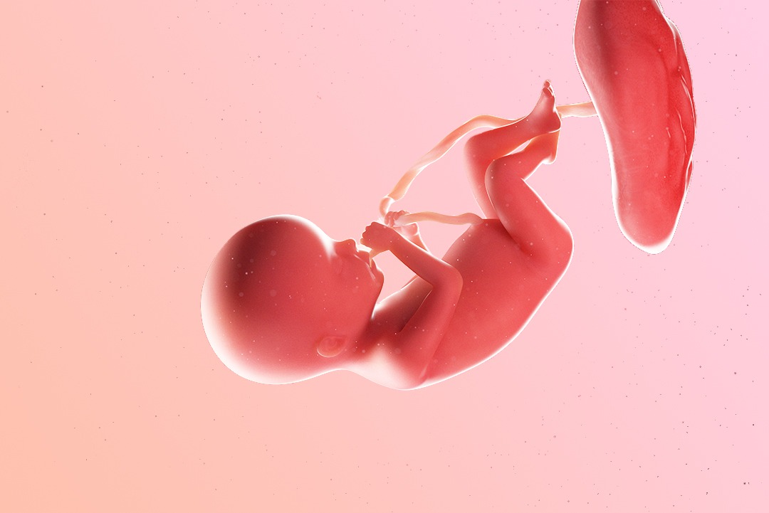 20 weeks pregnant, or 18 weeks after conception: halfway through your pregnancy